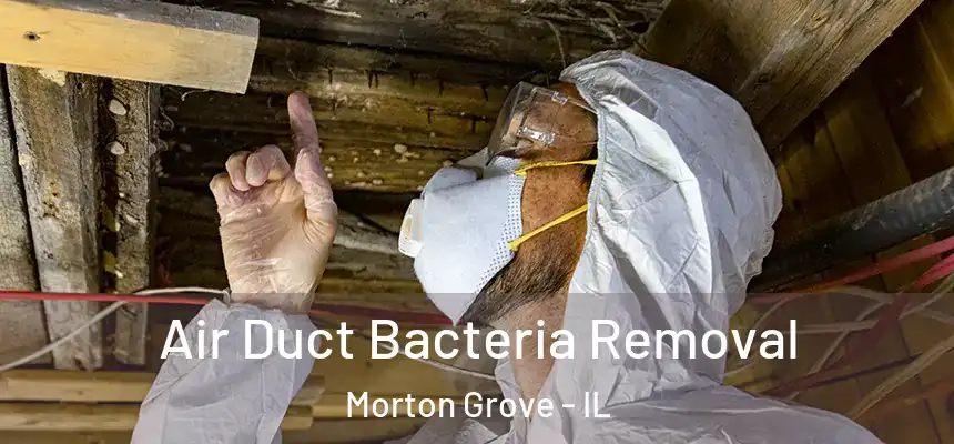  Air Duct Bacteria Removal Morton Grove - IL
