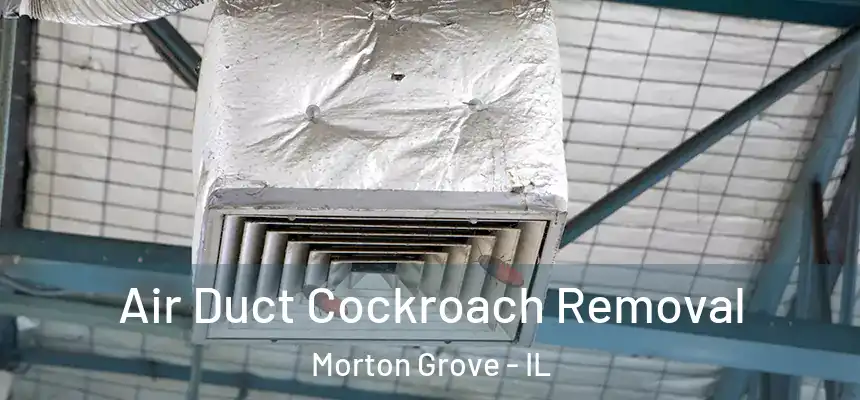  Air Duct Cockroach Removal Morton Grove - IL