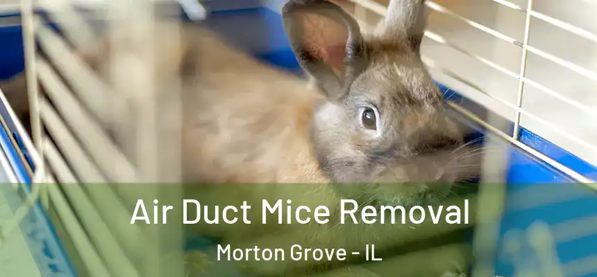  Air Duct Mice Removal Morton Grove - IL