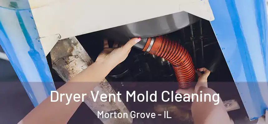  Dryer Vent Mold Cleaning Morton Grove - IL
