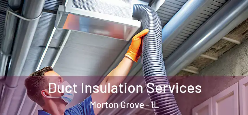 Duct Insulation Services Morton Grove - IL