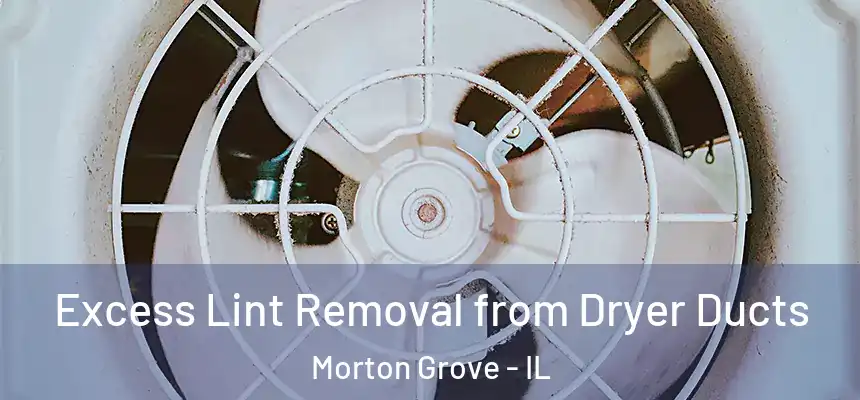  Excess Lint Removal from Dryer Ducts Morton Grove - IL
