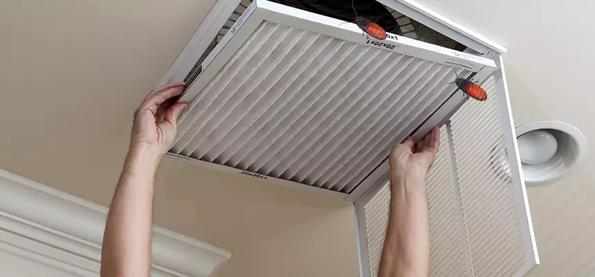 Preventive Cockroach-Proofing for Ducts in Morton Grove