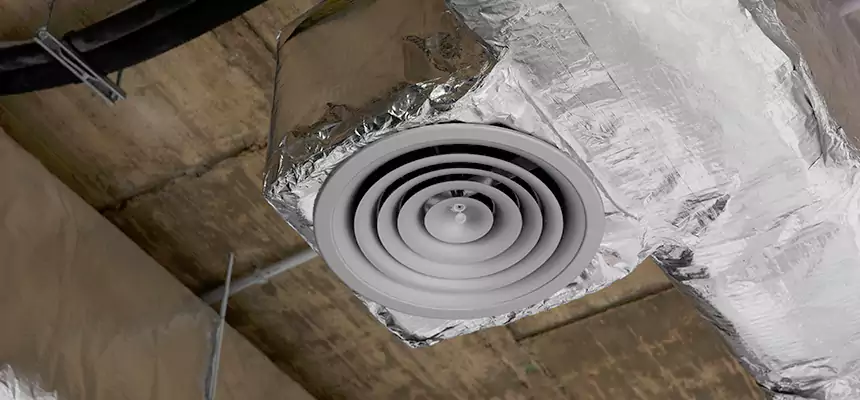 Our Excess Lint Removal from Dryer Ducts Services in Morton Grove, IL
