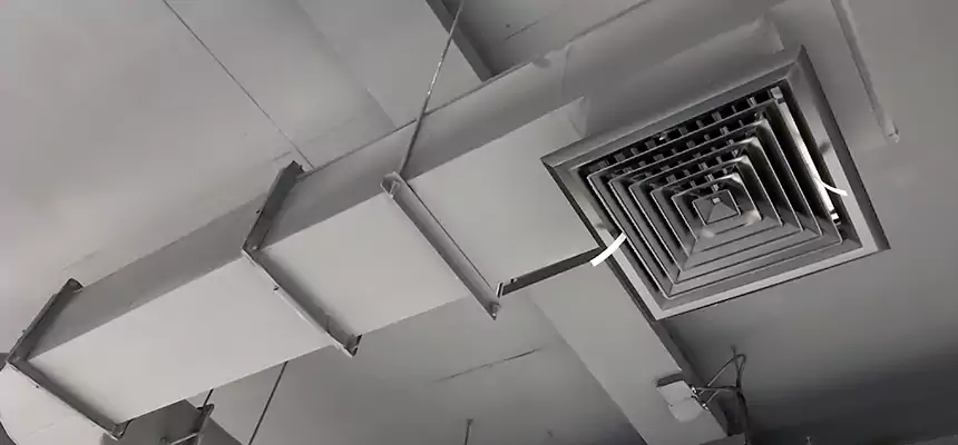 Our Pest Removal From Ducts Services in Morton Grove, IL