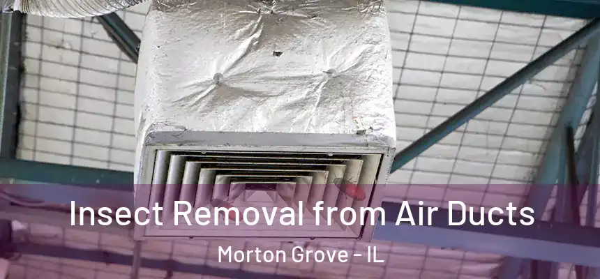  Insect Removal from Air Ducts Morton Grove - IL