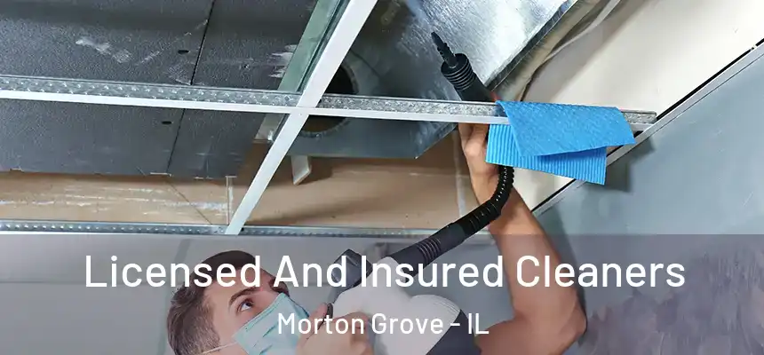  Licensed And Insured Cleaners Morton Grove - IL