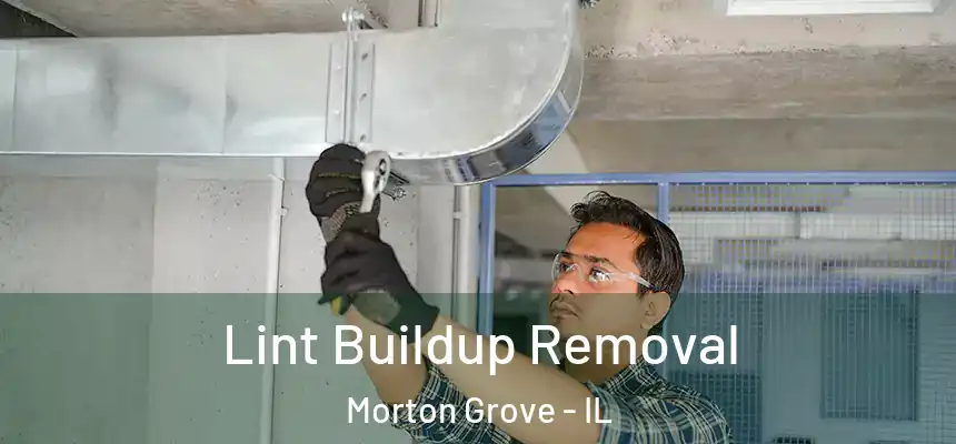  Lint Buildup Removal Morton Grove - IL