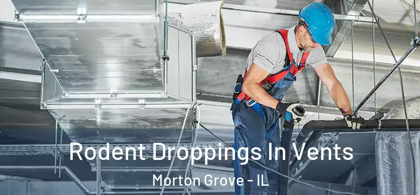  Rodent Droppings In Vents Morton Grove - IL