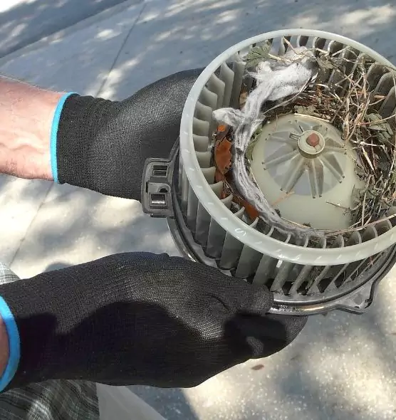 About Air Duct Mice Removal in Morton Grove, IL