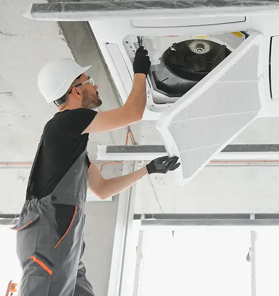 About Air Duct Rodent Removal in Morton Grove, IL