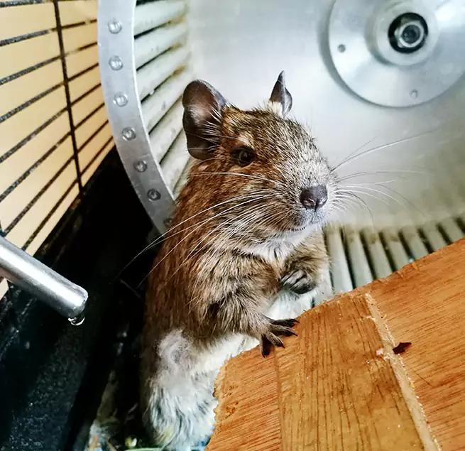 Why Homeowners & Businesses Trust Us Morton Grove, IL